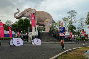 BIB: 
                            <button type="button" onclick="openModal(26528498)" class="btn btn-primary btn-sm float-right btn-popup" data-toggle="modal" data-target=".modal-high-quality">
                        <i class="fas fa-shopping-cart"></i> Add to Cart
                    </button>
                                            <button type="button" onclick="isThisMe(26528498, true)" class="btn btn-success btn-sm float-right btn-popup btn-isme hidden" data-toggle="tooltip" data-placement="bottom" title="นี่คือรูปของคุณใช่ไหม คลิกที่นี่เพื่อเอาเข้าอัลบั้ม">
                        <i class="fas fa-plus"></i> Add to album
                    </button>
                    <button type="button" onclick="isThisMe(26528498, false)" class="btn btn-warning btn-sm float-right btn-popup btn-isnotme hidden">
                        <i class="fas fa-ban"></i> Remove from album
                    </button>